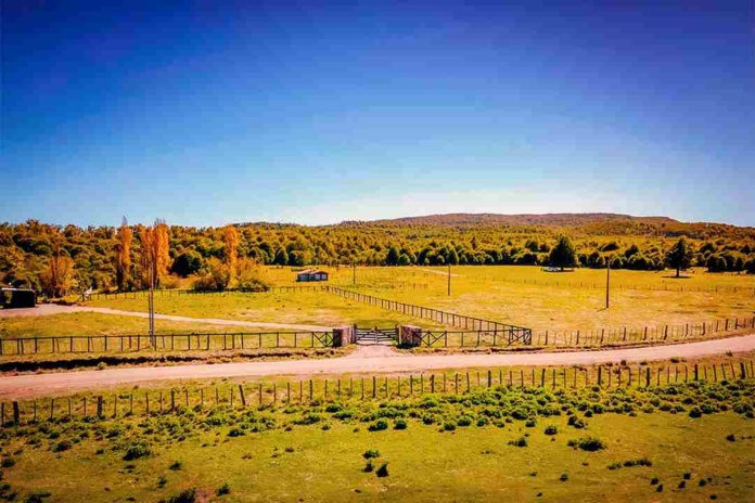 Comprar un terreno en el sur de Chile: momento para una inversión inteligente 