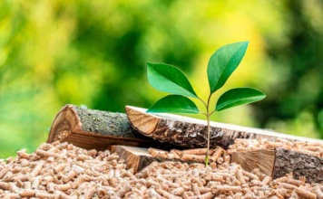 MASISA reduce un 67% de su consumo energético con biomasa y avanza hacia cero emisiones netas para 2050