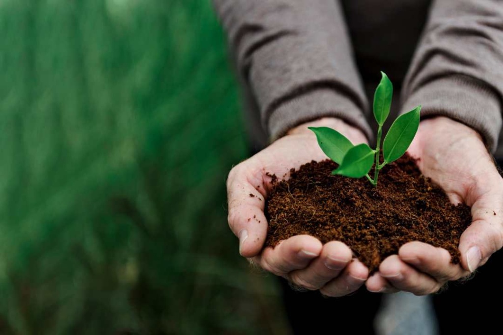 “Más urgentes que nunca” seis tendencias de sostenibilidad ambiental para 2025