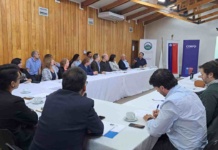 Mesa de Energía de Aysén debate proyecto de ley para reducir tarifas eléctricas y fomentar inversión en energías limpias