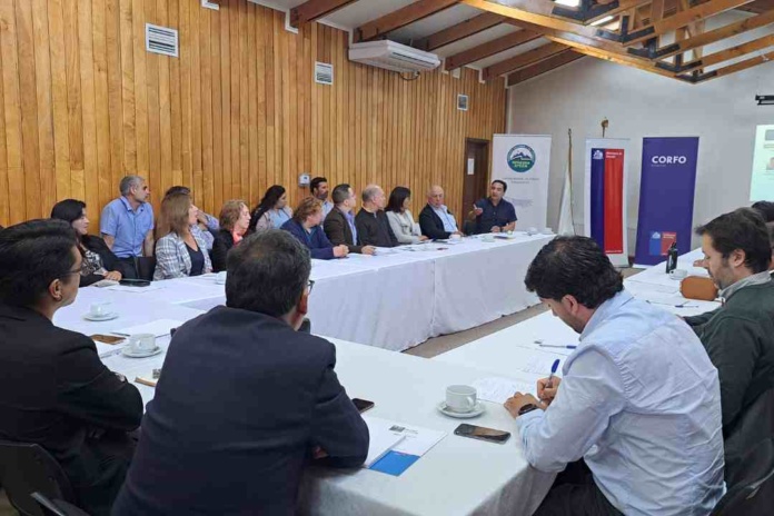 Mesa de Energía de Aysén debate proyecto de ley para reducir tarifas eléctricas y fomentar inversión en energías limpias