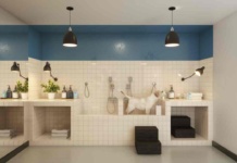 Pet Living, la tendencia inmobiliaria que integra soluciones para una mejor cohabitación de residentes y mascotas Pet Living, la tendencia inmobiliaria que integra soluciones para una mejor cohabitación de residentes y mascotas