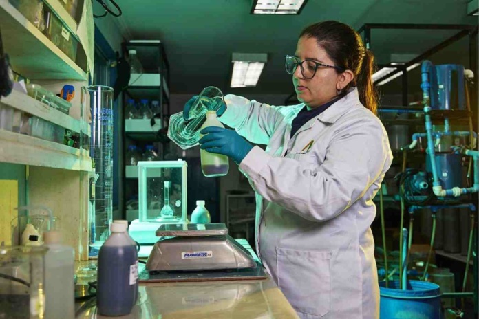 Startup chilena Nova Mineralis se adjudica una vez más recursos Corfo para proyecto minero Startup chilena Nova Mineralis se adjudica una vez más recursos Corfo para proyecto minero