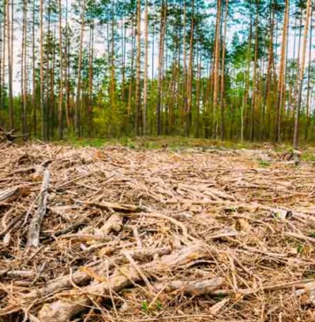 Trabajo colaborativo, innovación e indicadores empresariales serán esenciales para luchar contra el calentamiento global Trabajo colaborativo, innovación e indicadores empresariales serán esenciales para luchar contra el calentamiento global