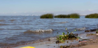 El verano y la contaminación: 1,7 millones de toneladas de residuos afectan a playas y océanos en Chile