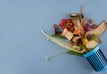 10% de las emisiones globales de CO2 provienen del desperdicio de alimentos