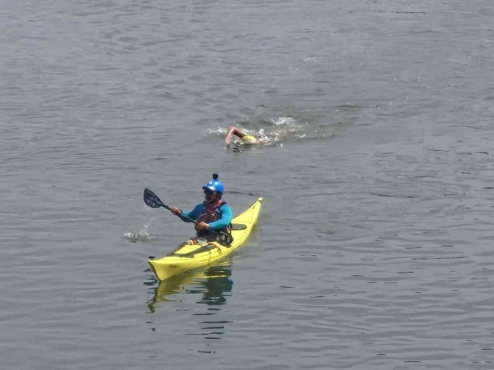 CMPC Humboldt Open Water Marathon Series cierra su temporada con un inédito nado nocturno y otros trayectos en el Río Toltén