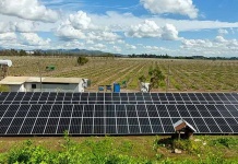 Cool Power Paneles Solares Agrícola. Genera tu Propia Electricidad: No Tengas Pérdidas ante Cortes de Luz