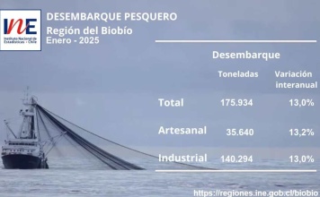 Desembarque pesquero de la Región del Biobío totalizó 175.934 toneladas en enero d