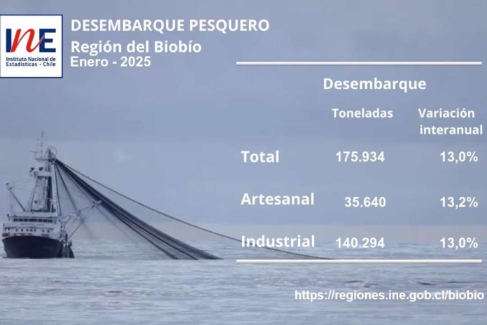 Desembarque pesquero de la Región del Biobío totalizó 175.934 toneladas en enero d