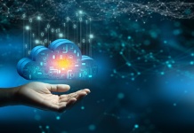 Gestión de vulnerabilidades en 2025: los roles y el futuro de los equipos de TI y ciberseguridad