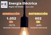 INE Biobío publica cifras de generación y distribución de energía correspondiente a enero de 2025