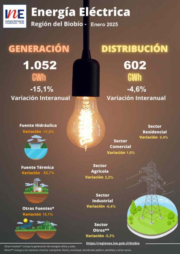 INE Biobío publica cifras de generación y distribución de energía correspondiente a enero de 2025