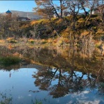 Copec y Municipalidad de Cabo de Hornos firman convenio para proteger el humedal urbano más austral del mundo