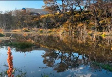 Copec y Municipalidad de Cabo de Hornos firman convenio para proteger el humedal urbano más austral del mundo