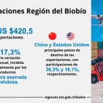 Exportaciones de la Región del Biobío disminuyeron 17,3% en enero de 2025