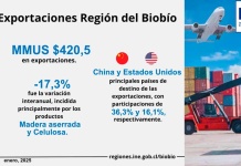 Exportaciones de la Región del Biobío disminuyeron 17,3% en enero de 2025