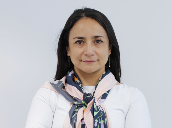 Regulación ambiental en Chile: obstáculos y oportunidades de mejora