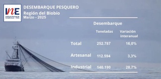 Desembarque pesquero de la Región del Biobío totalizó 252.787 toneladas en marzo de 2025