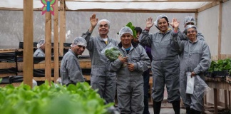 Asesor comercial y vendedor en Claro (2016 a 2018): Captación de personas para que adquieran planes móviles y equipos de Claro, seguimiento a las solicitudes de los clientes. Falabella Connect: Venta de equipos móviles: (2019 a 2021), accesorios y garantía extendida en tienda, asesoramiento y recomendaciones sobre el equipo que necesita el cliente. Caterpillar, (2022 A 2023) Vendedor en tienda: venta de indumentaria en tienda, a través de E-commerce y venta presencial.