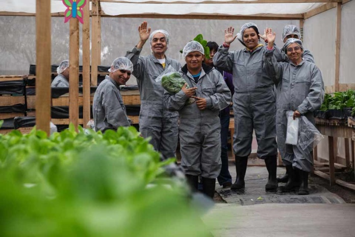 Asesor comercial y vendedor en Claro (2016 a 2018): Captación de personas para que adquieran planes móviles y equipos de Claro, seguimiento a las solicitudes de los clientes. Falabella Connect: Venta de equipos móviles: (2019 a 2021), accesorios y garantía extendida en tienda, asesoramiento y recomendaciones sobre el equipo que necesita el cliente. Caterpillar, (2022 A 2023) Vendedor en tienda: venta de indumentaria en tienda, a través de E-commerce y venta presencial.