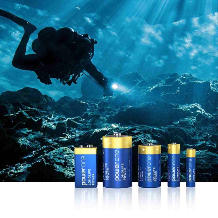 Pilas certificadas, garantía de salud y rendimiento