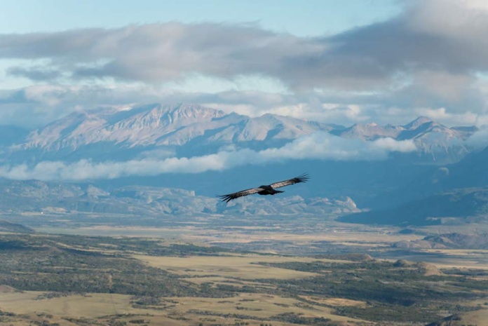 Sernatur abre convocatoria para cofinanciar proyectos de promoción turística internacional Sernatur abre convocatoria para cofinanciar proyectos de promoción turística internacional