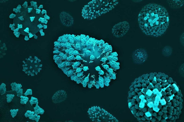 “Ciber-pandemia” ¿Qué tanto se parecen los virus digitales a los biológicos