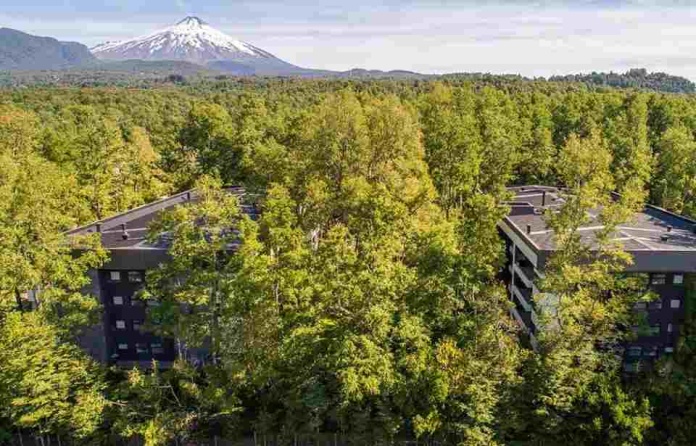 Día del Medioambiente: La inmobiliaria que impulsa la sostenibilidad plantando 15 árboles por cada departamento vendido