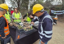 Educación ambiental en empresas trabajadores de Volcán asisten a talleres de huertos urbanos