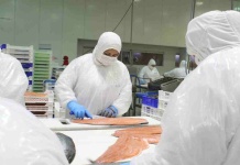 Empresas del Consejo del Salmón son pioneras en la implementación de IA en la industria salmonicultora local Empresas del Consejo del Salmón son pioneras en la implementación de IA en la industria salmonicultora local