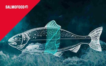 DIETA RAW: Innovando en la producción de alimento para salmón orgánico en Chile