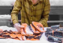 Reporte integrado de sostenibilidad de Mowi revela una baja de la huella de carbono de un 39% entre 2019 y 2024