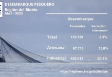 Desembarque pesquero de la Región del Biobío totalizó 170.729 toneladas en abril de 2025 Desembarque pesquero de la Región del Biobío totalizó 170.729 toneladas en abril de 2025