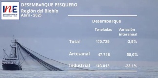 Desembarque pesquero de la Región del Biobío totalizó 170.729 toneladas en abril de 2025