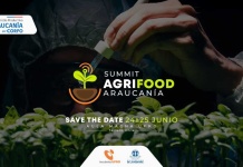 AgriFood Summit Araucanía 2025: La Cumbre que Redefine el Futuro Sostenible del Agro desde la Salud del Suelo a la Mesa