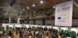 CCS invita a pymes a participar en rueda de negocios para convertirse en proveedores de grandes empresas