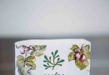 Ecóleo impulsa la cosmética natural desde Rancagua gracias al programa PAR O’Higgins Recicla