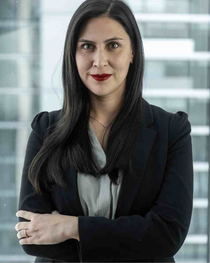 Fallo a favor de proyecto Dominga:  ¿Cómo recuperar la confianza institucional?  