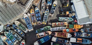 Indespa entregó $33 millones para apoyar 11 celebraciones de Fiestas de San Pedro en la Región del Biobío