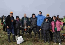 Industria minera se suma al voluntariado regenerativo del bosque nativo chilote