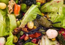 Más de 5 millones de toneladas de alimentos serían desperdiciados en Chile: ¿Qué pueden hacer las empresas?