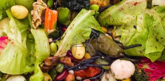 Más de 5 millones de toneladas de alimentos serían desperdiciados en Chile: ¿Qué pueden hacer las empresas?