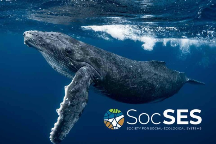 Nace la Sociedad Internacional de Sistemas Socio-Ecológicos: una nueva plataforma para impulsar la sostenibilidad global