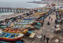 Oceana Chile llama a reforzar protección marina y alerta sobre retrocesos en la ley de plásticos