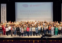 Puerto Varas Será Sede Del International Sealice Conference 2025 Principal Encuentro Científico Mundial Sobre Caligus