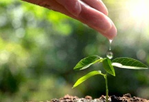 Valmet avanza hacia la carbono Neutralidad con su agenda 360ª