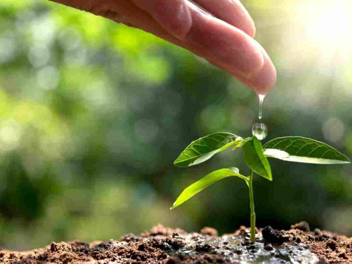 Valmet avanza hacia la carbono Neutralidad con su agenda 360ª Valmet avanza hacia la carbono Neutralidad con su agenda 360ª