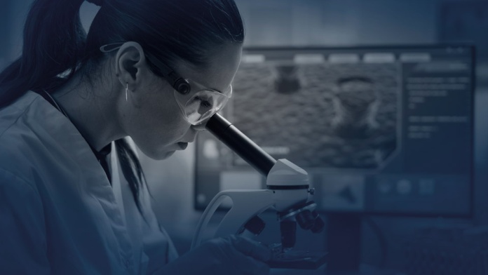 Ya se encuentran disponibles las bases para postular al premio For Women in Science 2025 Ya se encuentran disponibles las bases para postular al premio For Women in Science 2025