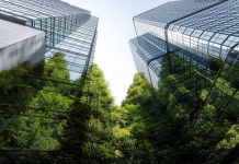 Estudio de la Escuela de Negocios UAI y AACCLA revela los desafíos clave para integrar la sostenibilidad en la estrategia empresarial en Latinoamérica